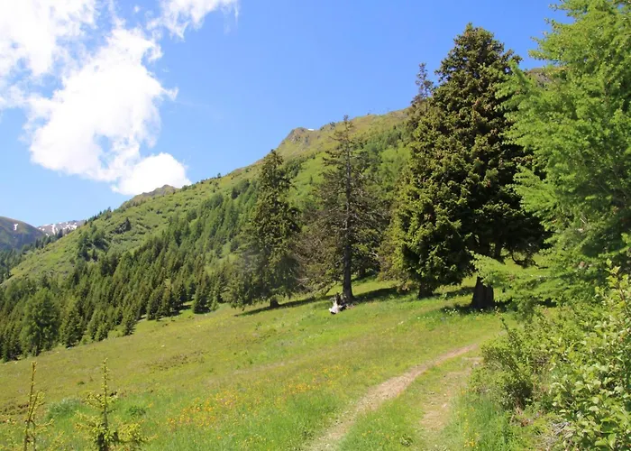 In 4 Vallees With Ski-in Access Chalet