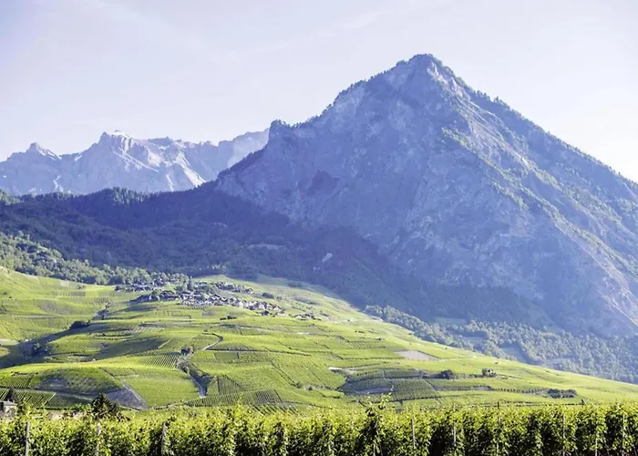 In 4 Vallees With Ski-in Access