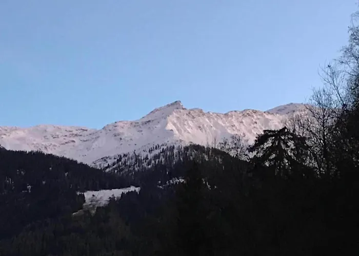 In 4 Vallees With Ski-in Access Les Collons