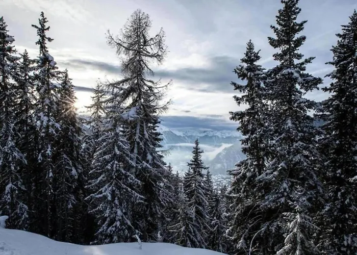 In 4 Vallees With Ski-in Access Les Collons