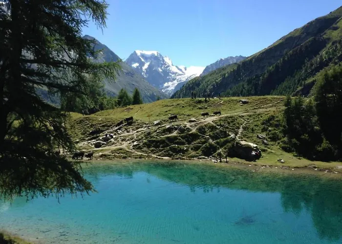 샬레 In 4 Vallees With Ski-in Access *