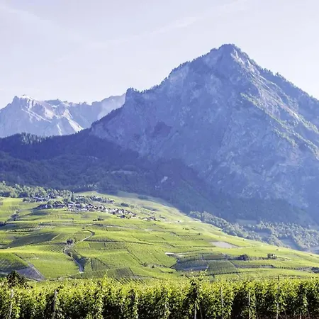 In 4 Vallees With Ski-in Access