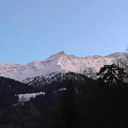 In 4 Vallees With Ski-in Access Les Collons