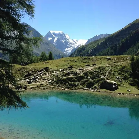 Domek alpejski In 4 Vallees With Ski-in Access *