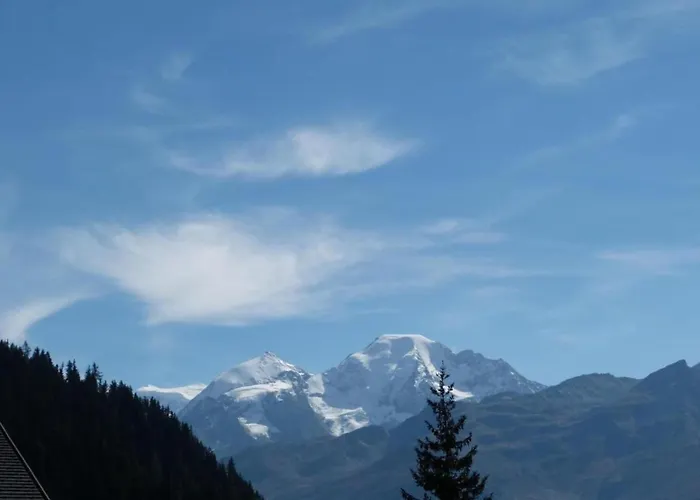 In 4 Vallees With Ski-in Access * Les Collons
