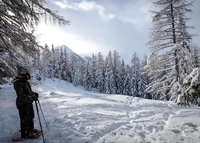 In 4 Vallees With Ski-in Access Domek alpejski *