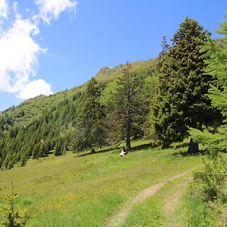 In 4 Vallees With Ski-in Access Chalet