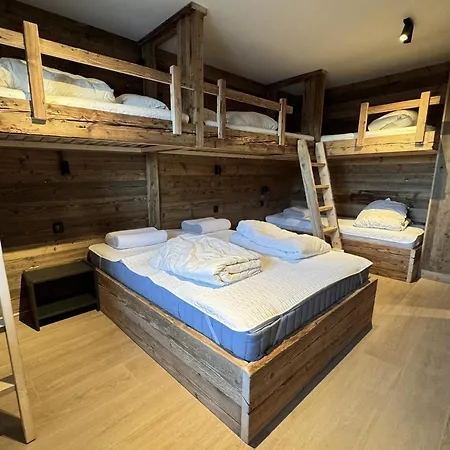In 4 Vallees With Ski-in Access Chalet