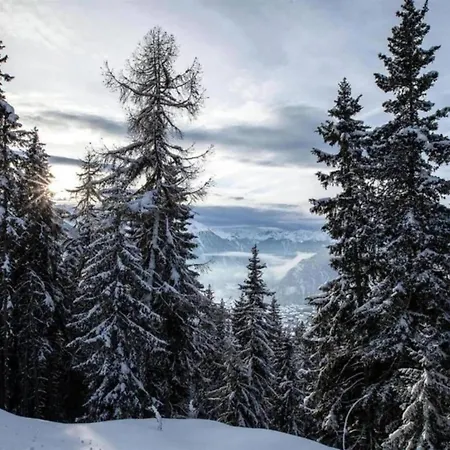 In 4 Vallees With Ski-in Access Les Collons