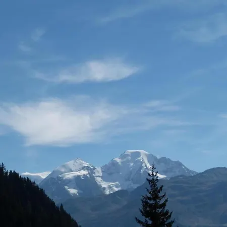 In 4 Vallees With Ski-in Access * Les Collons